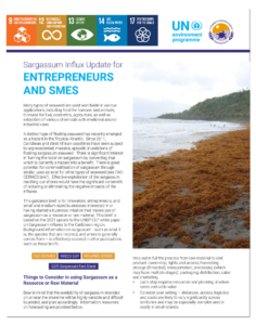 Private-sector-brief