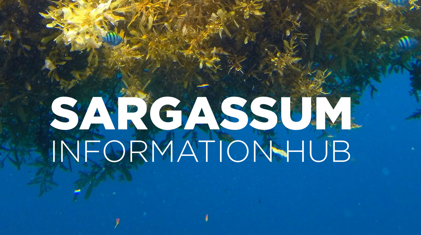 Costa Rica joins France’s initiative to combat sargassum in the