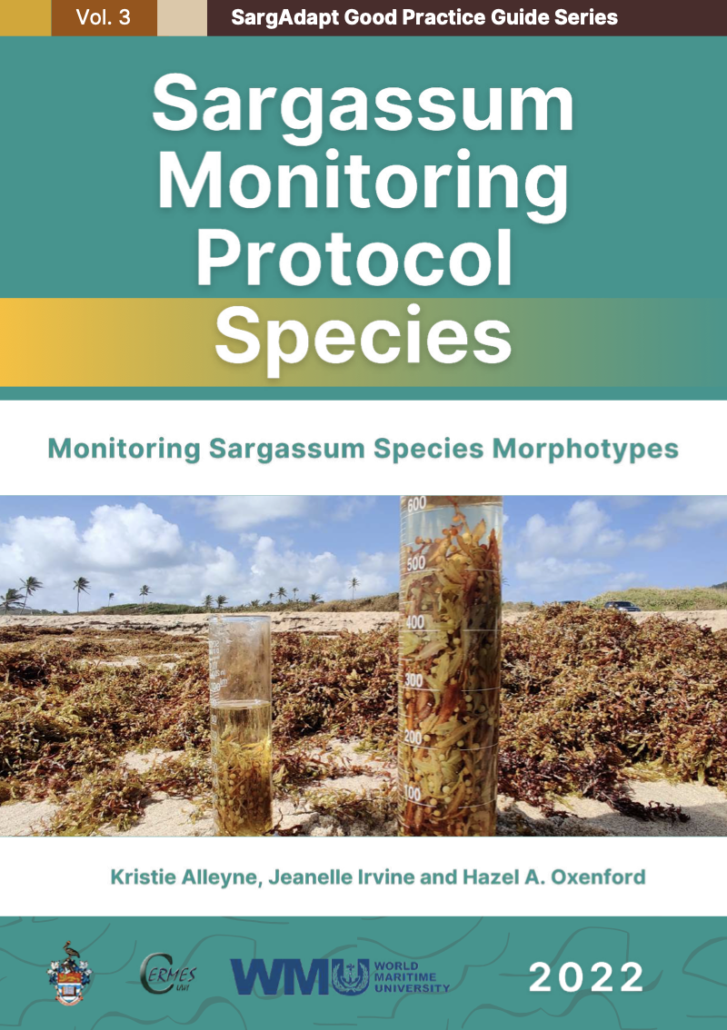 News Sargassum Information Hub