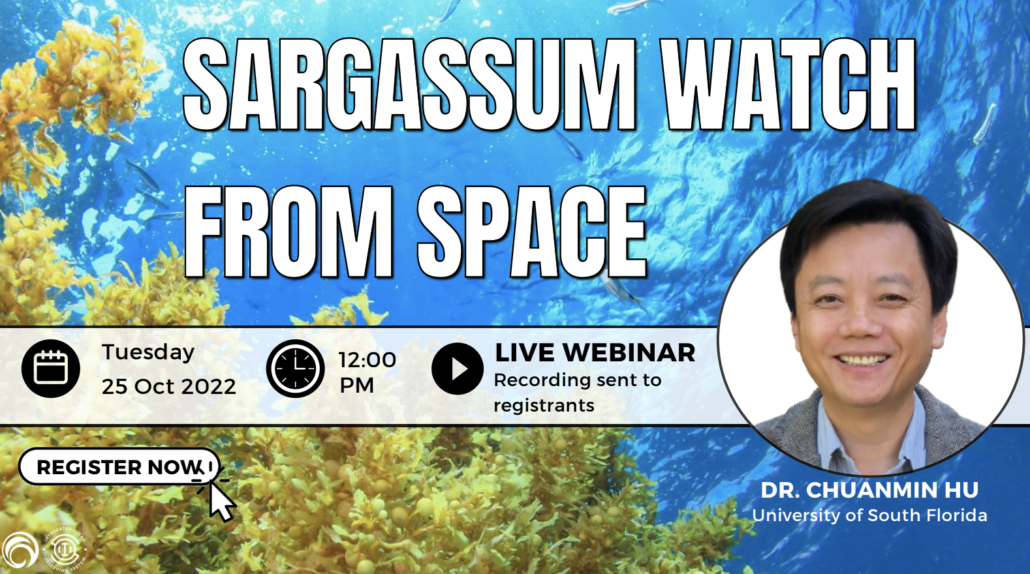 Sargassum Watch from Space SARGASSUM INFORMATION HUB