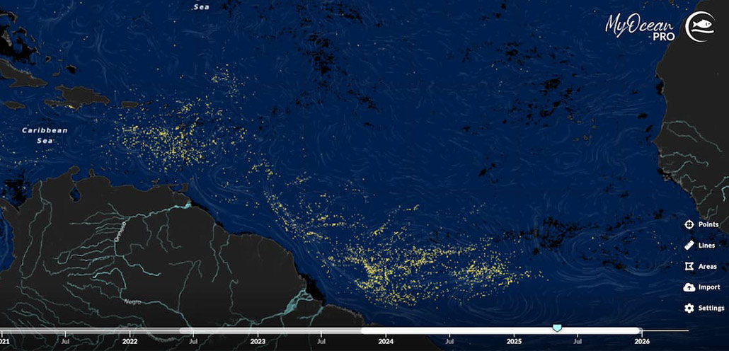 Sargassum detection in the Caribbean Sea and Atlantic Ocean