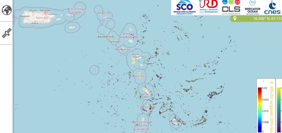 Sargassum Monitoring Map CLS Sesam