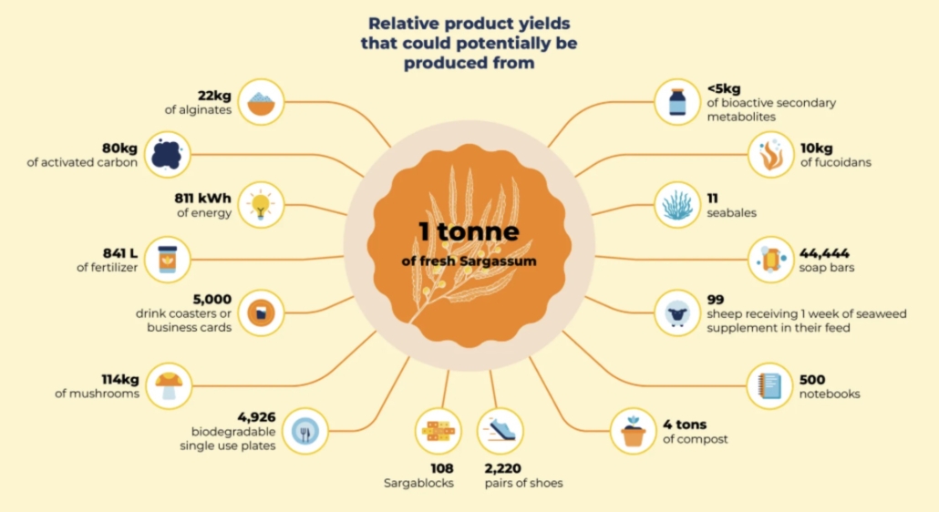 Relative product yields that could be potentially be produced from 1 ton fresh sargassum