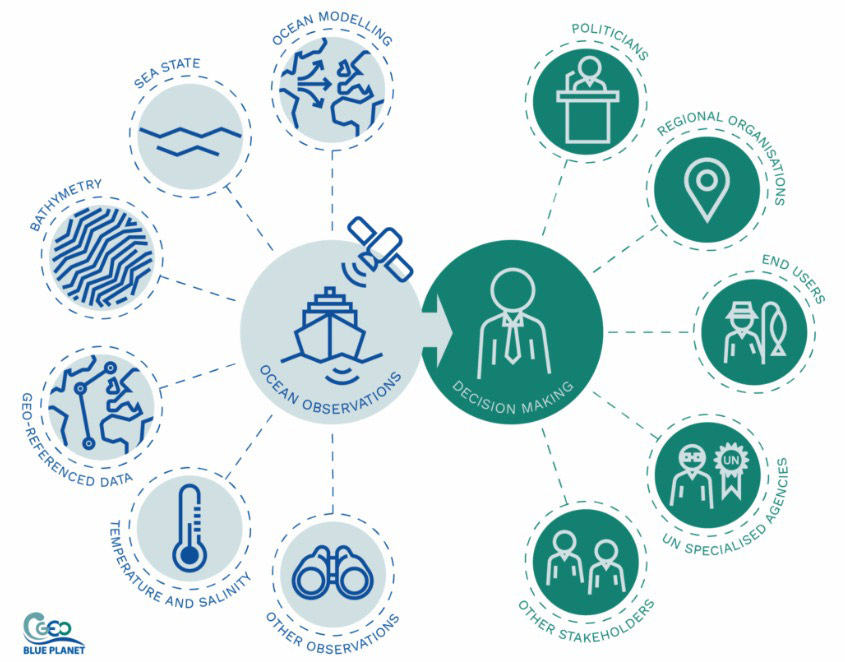Sargassum Hub, about us infographic
