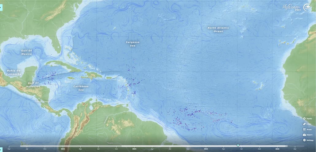 Screenshot My Ocean Pro - Copernicaus Marine Service