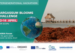 Sargassum blooms challenge at Intergenerational Hackathon