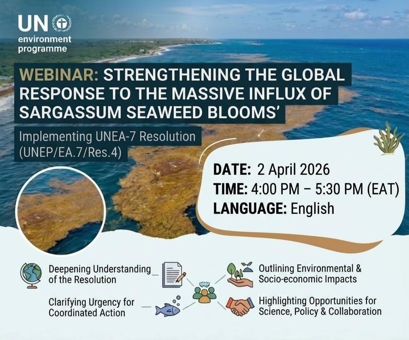 Webinar Sargassum Flyer short