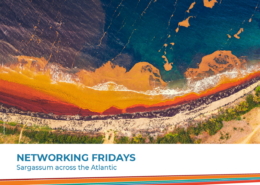 Networking Fridays - Sargassum across the Atlantic