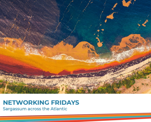 Networking Fridays - Sargassum across the Atlantic