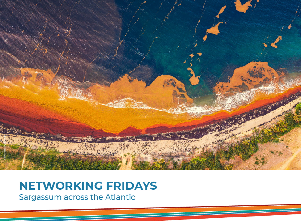 Networking Fridays - Sargassum across the Atlantic